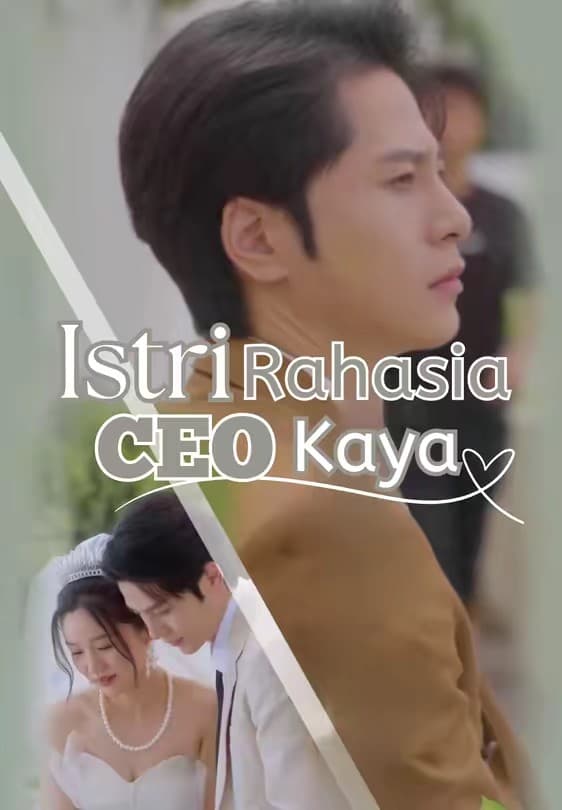 Istri Rahasia CEO Kaya - Melolo