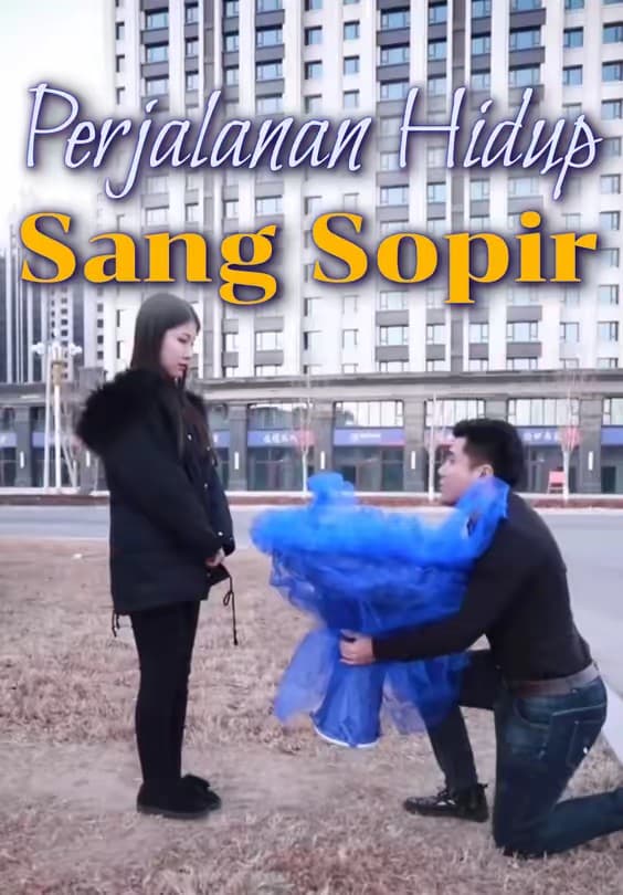 Perjalanan Hidup Sang Sopir - Melolo