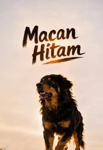 Macan Hitam - Melolo