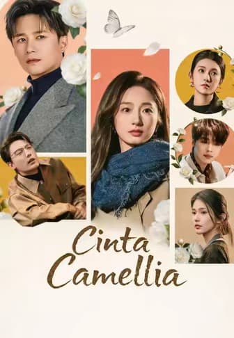 Cinta Camellia - Melolo